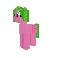 New Pony