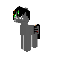 MrGrayCat