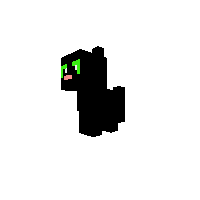 black cat