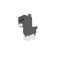 kitty