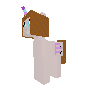 pokemon pony