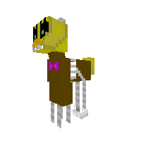 New Pony