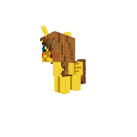 New Pony
