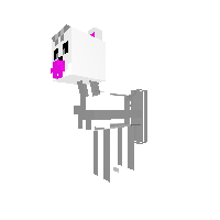 New Pony