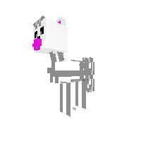 New Pony