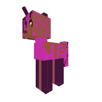 Coco Pony