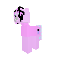 New Pony