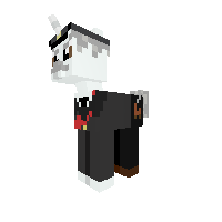 Conductor