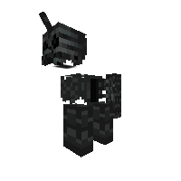 black pony