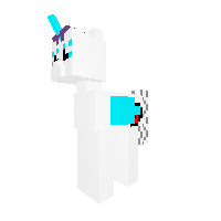 New Pony