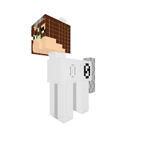 New Pony
