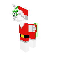 Mrs.Santa Pony