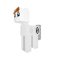 New Pony
