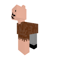 Nonch