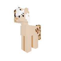 Cookie Pony