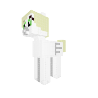 rekoty