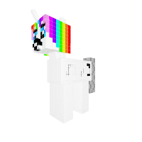 rainbow pony