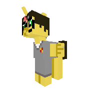 New Pony