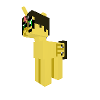 New Pony