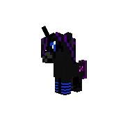 New Pony