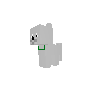 Corey The Dog