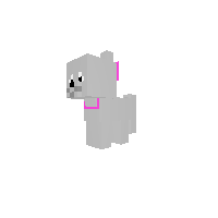 Luna The Dog