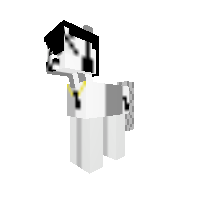 New Pony