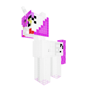 New Pony