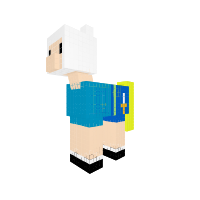 Finn