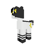 New Pony