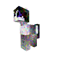 New Pony