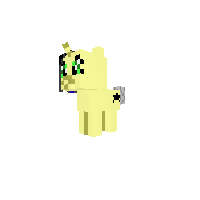 New Pony