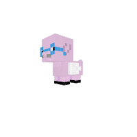 Flying Pig