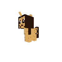 cookie