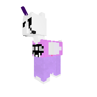 New Pony