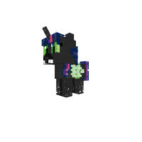 New Pony