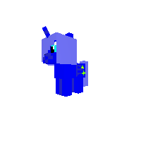 pony