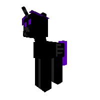 Ender  Pony