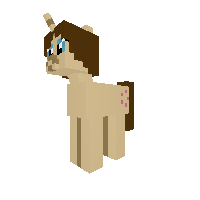 New Pony