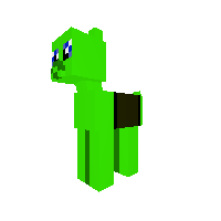 Turtle Pony