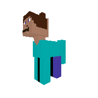steve