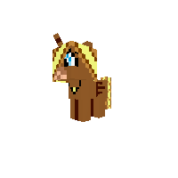Shining Star foal