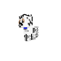 dalmation