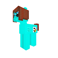 Jay pony