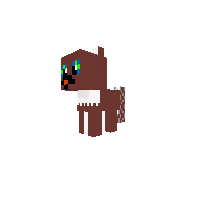 New Pony