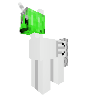 New Pony