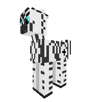 Zebra Male
