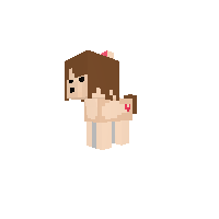 Frisking xD proceso