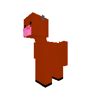 Red angus