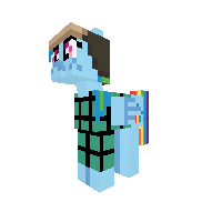 New Pony